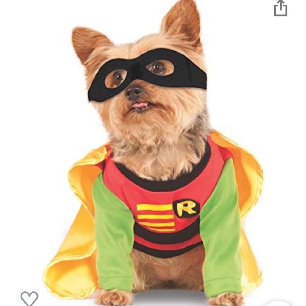 DC comics Robin Pet Costume